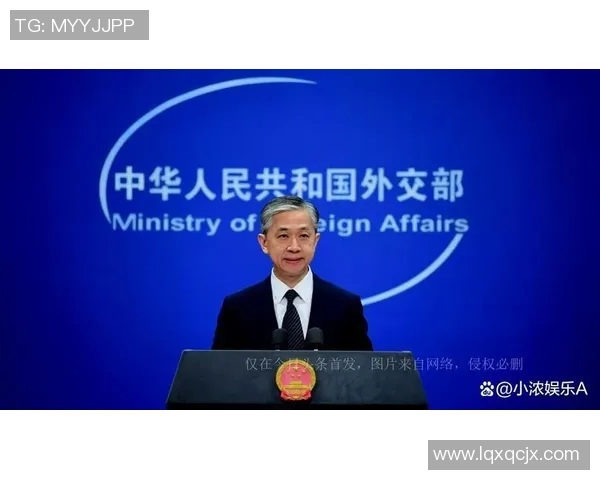 赖斯的外交智慧与全球影响力分析：如何塑造国际关系新格局